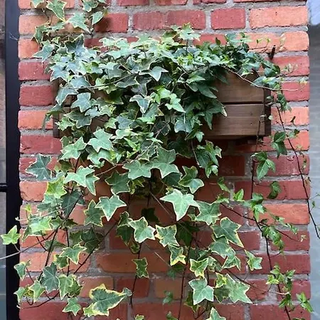 Art Vakantiehuis